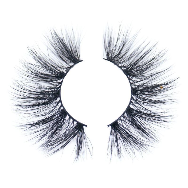 Vison 5D 11